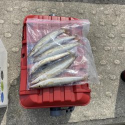 ダイソージグでULSJ!