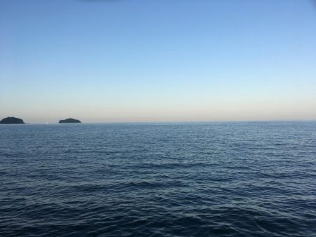 青物は不発だけど