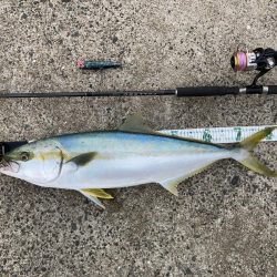 A.P.Pフィッtシングガイドサービス　久しぶりの夕マズメの釣行にて、ヒラマサRIDEONとなる