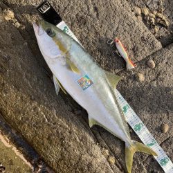 A.P.Pフィッシングガイドサービス　～ロック！ショア！フィッシングでヒラマサRIDEON！オープンベール発動シモリを無効化！～