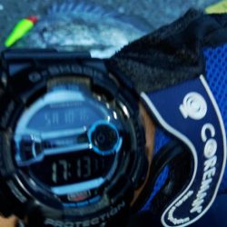 ぶらシーバス！！