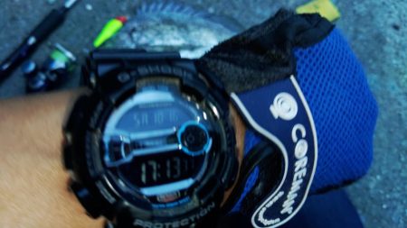 ぶらシーバス！！