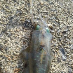 何があったんだ⁉️