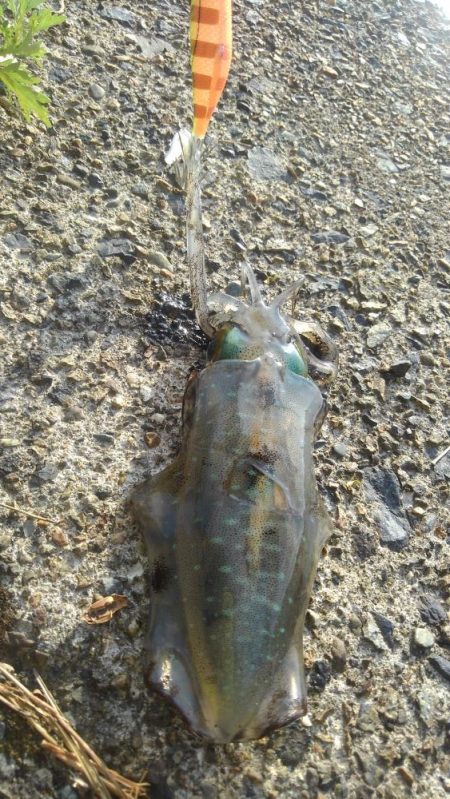 何があったんだ⁉️