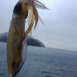 大雨、爆風、??