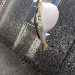 そこまででわ！