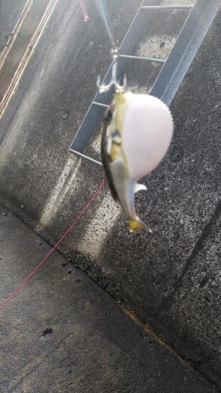 そこまででわ！