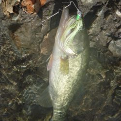 風がありました