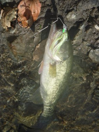 風がありました