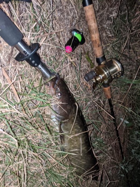 減水した川と新しいルアー