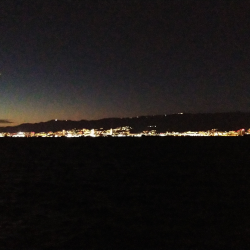 チヌと目が合いドキッ!