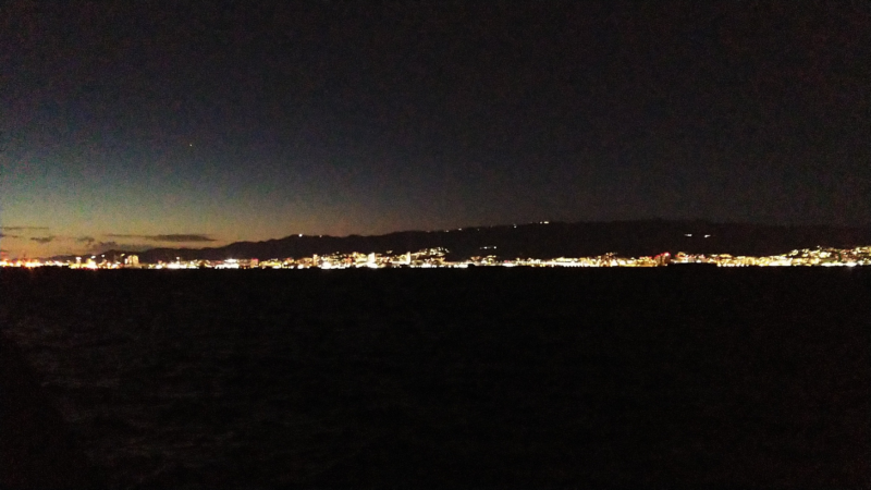 チヌと目が合いドキッ!