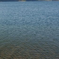 青物調査のハズが？(Vol 2)