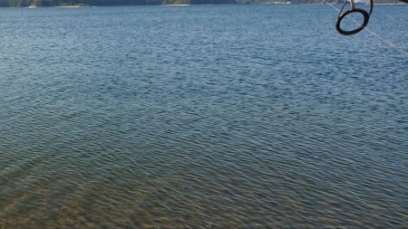 青物調査のハズが？(Vol 2)