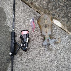 秋のキロアップ