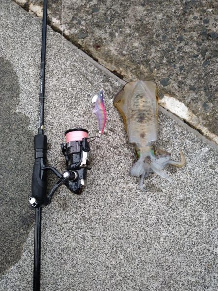 秋のキロアップ