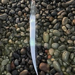 新しく買ったタックルの魂入れに