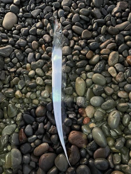 新しく買ったタックルの魂入れに