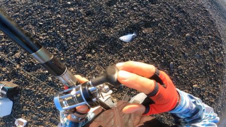 二刀流で釣る。