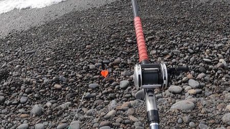 カツオがボチボチ釣れてます。