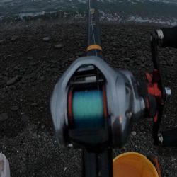 初獲物が本スマ（ヤイトカツオ）となりました。