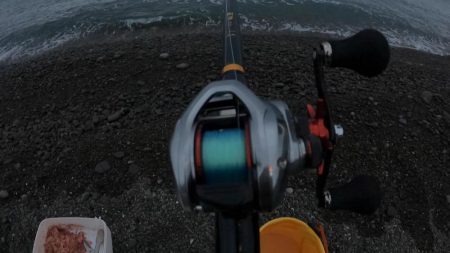 初獲物が本スマ（ヤイトカツオ）となりました。