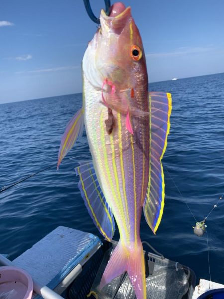 今回もジギングでアマダイ釣り！