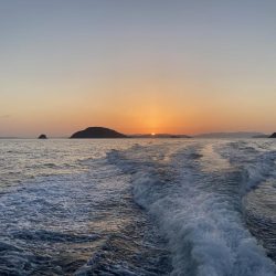 キャスティング