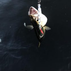 無風のシーサイド