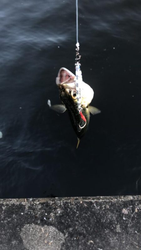 無風のシーサイド