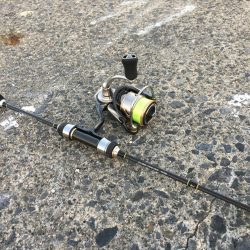 激濁りの夕まずめ