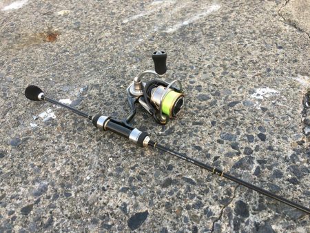 激濁りの夕まずめ