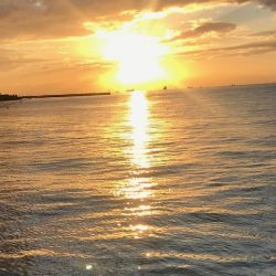 とてもシブかった