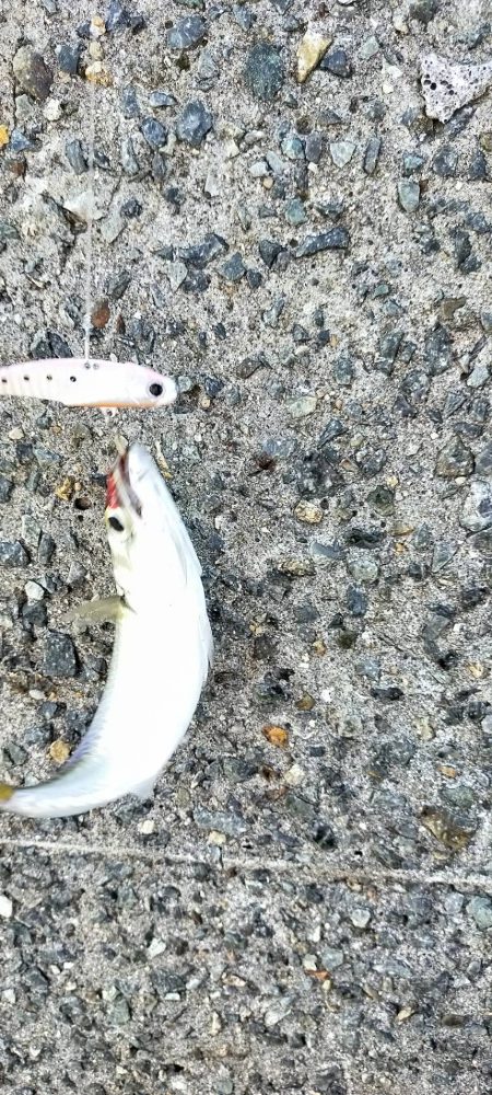 西宮ケーソンでサバゲー