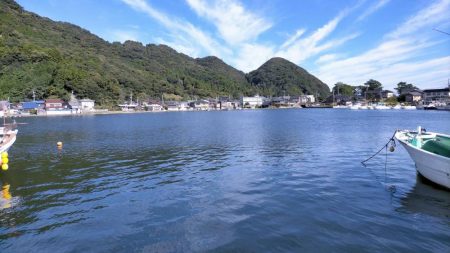 久々子湖のサヨリ