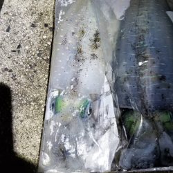 一気に寒さが、強くなりました。