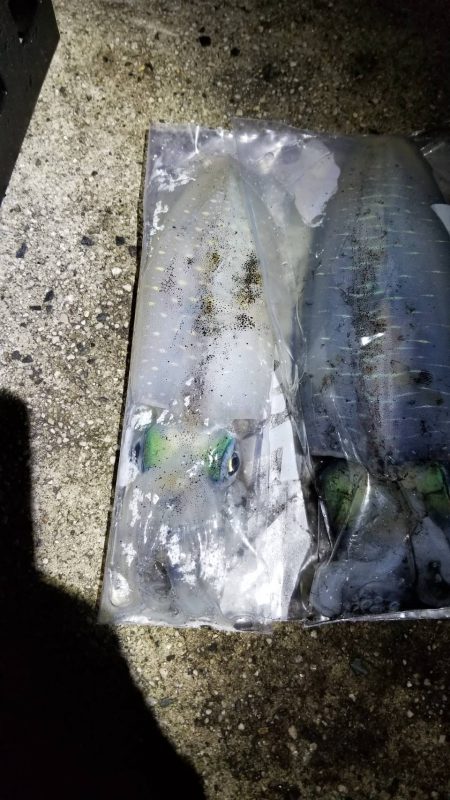 一気に寒さが、強くなりました。