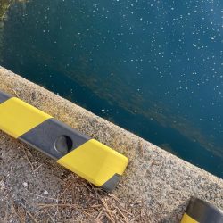 山陰のポテンシャル！