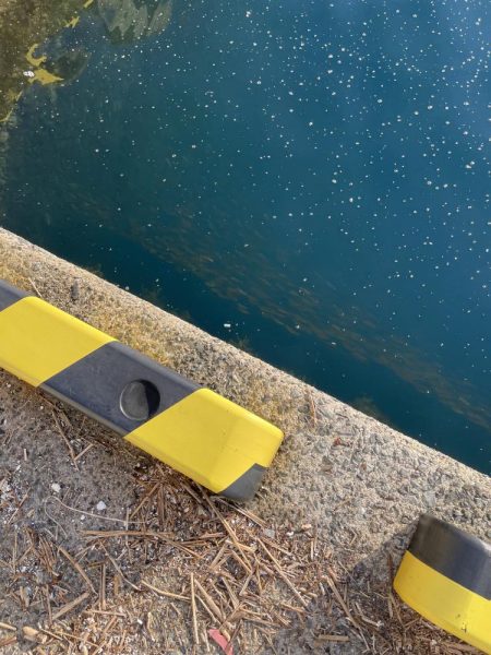 山陰のポテンシャル！