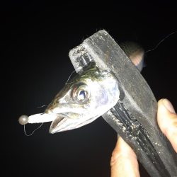 ライトゲーム49