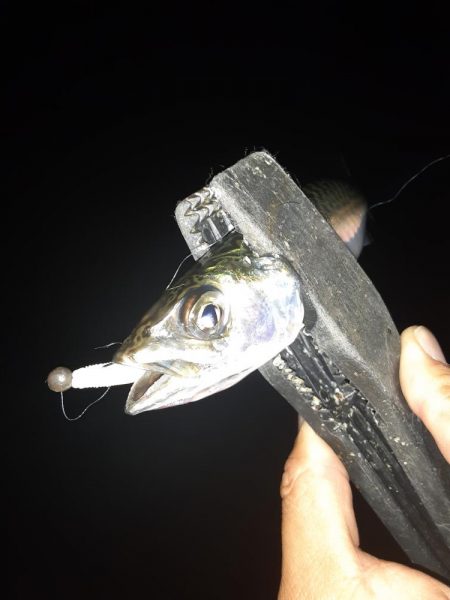 ライトゲーム49