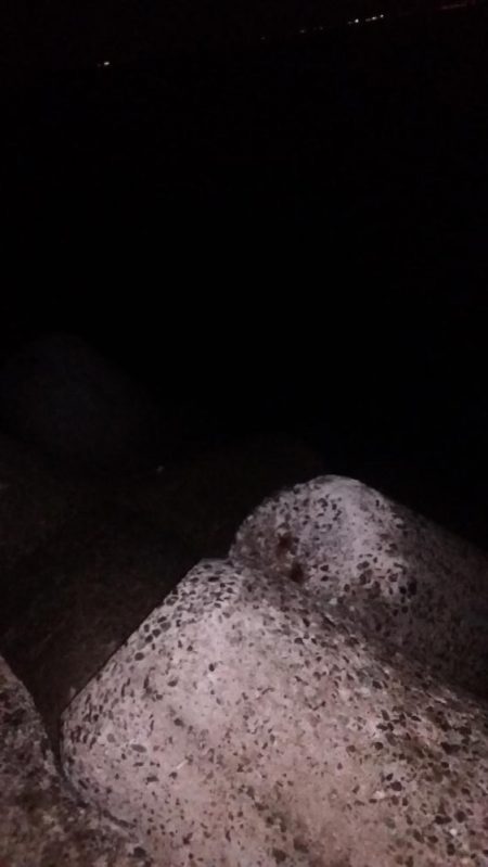 タチウオやっと接岸中