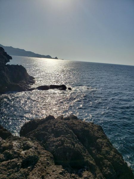 青モンは留守でした