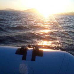 秋イカは簡単なの？