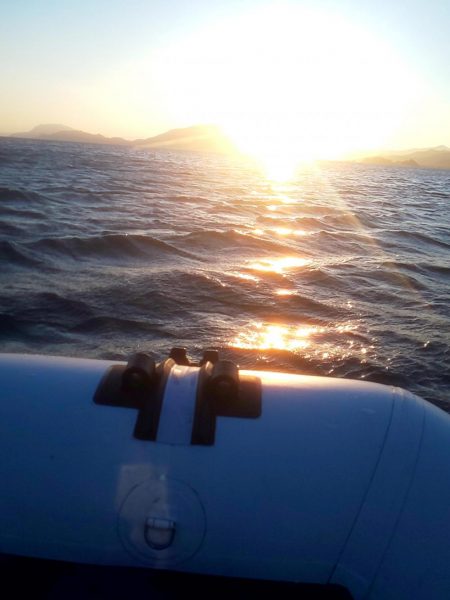 秋イカは簡単なの？