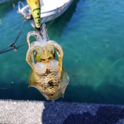 リベンジならず秋サイズ(..)