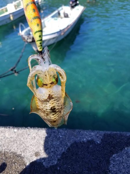 リベンジならず秋サイズ(..)