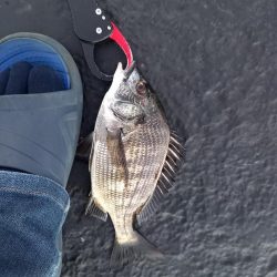 サイズが出ない１日でした