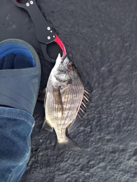 サイズが出ない１日でした