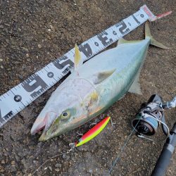 久しぶりの釣果